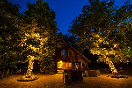 WeddingWood