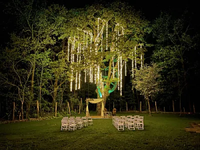 WeddingWood
