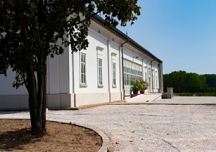 Baghy-Szinyei Merse Kúria
