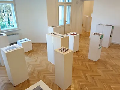 Tulipános Rendezvényház