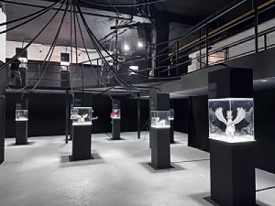 DISTR3CT Event Cube