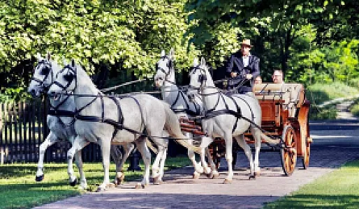 Biczó Csárda és Lovaspanzió