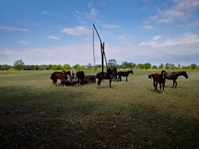 Biczó Csárda és Lovaspanzió