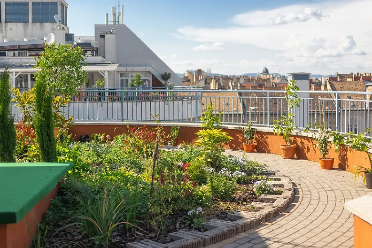 Rooftop City Residence