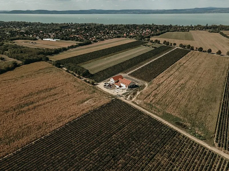 Androsics Birtok és Borterasz