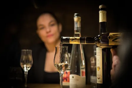 Hungarian GastroCellar