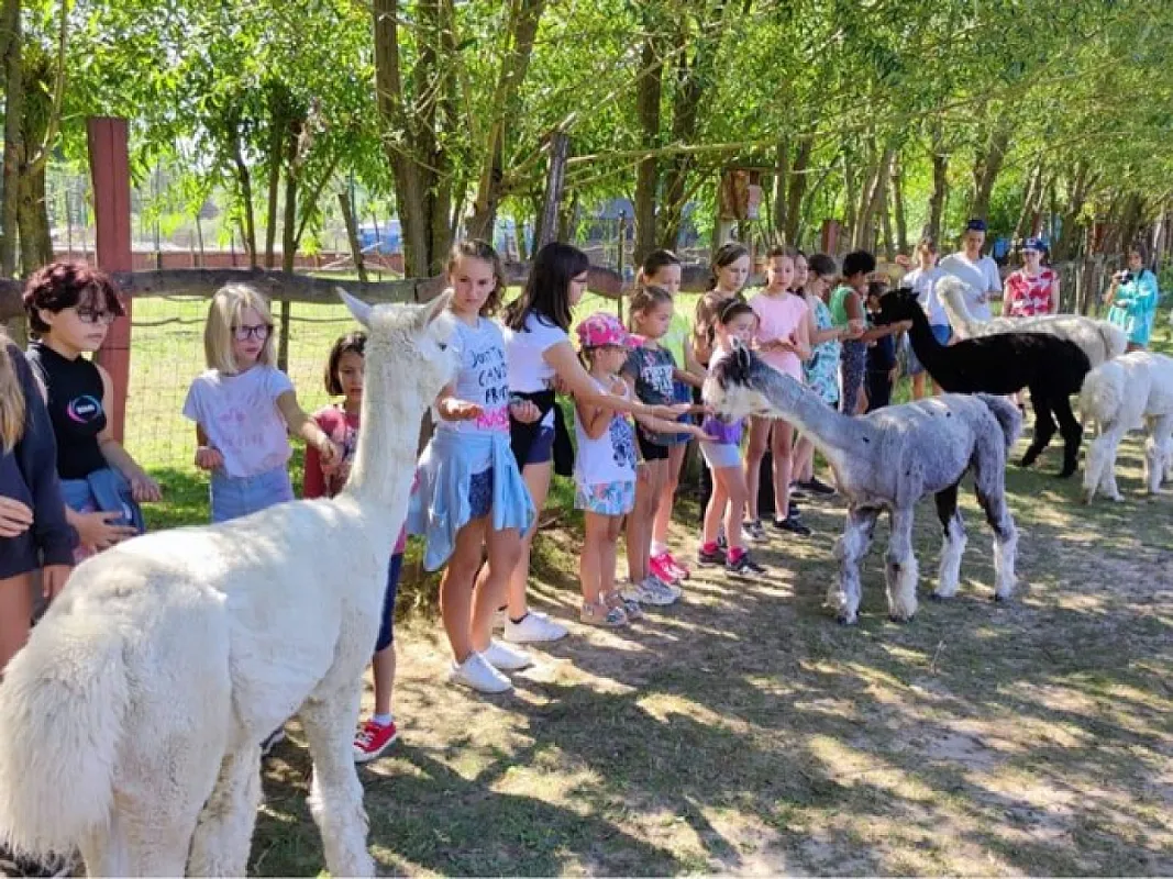 Seholsziget Természet és Élménypark