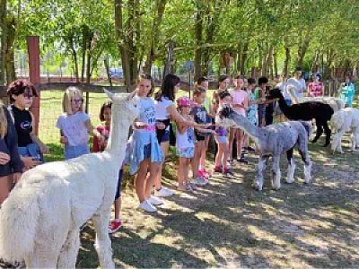 Seholsziget Természet és Élménypark
