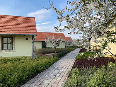 Béni family wine farm