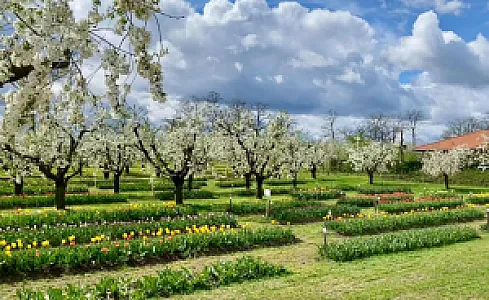 Béni family wine farm