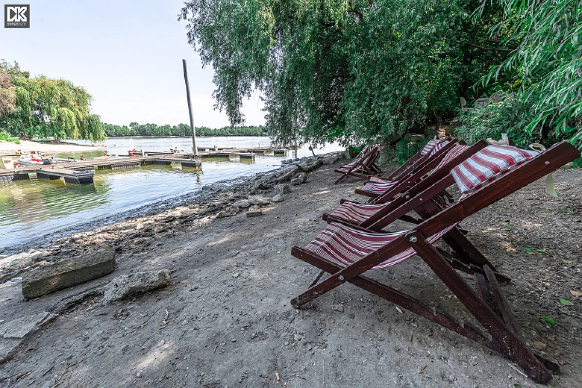 Dürer Kert