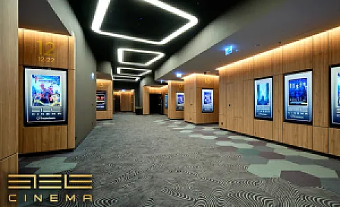 ETELE Cinema