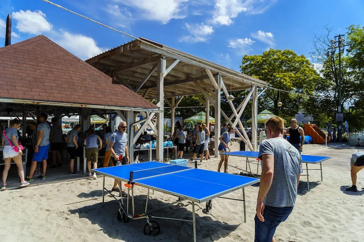Wonder Island és Paulaner Garden