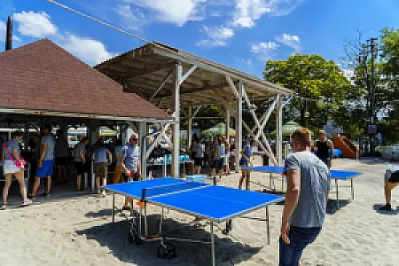 Wonder Island és Paulaner Garden