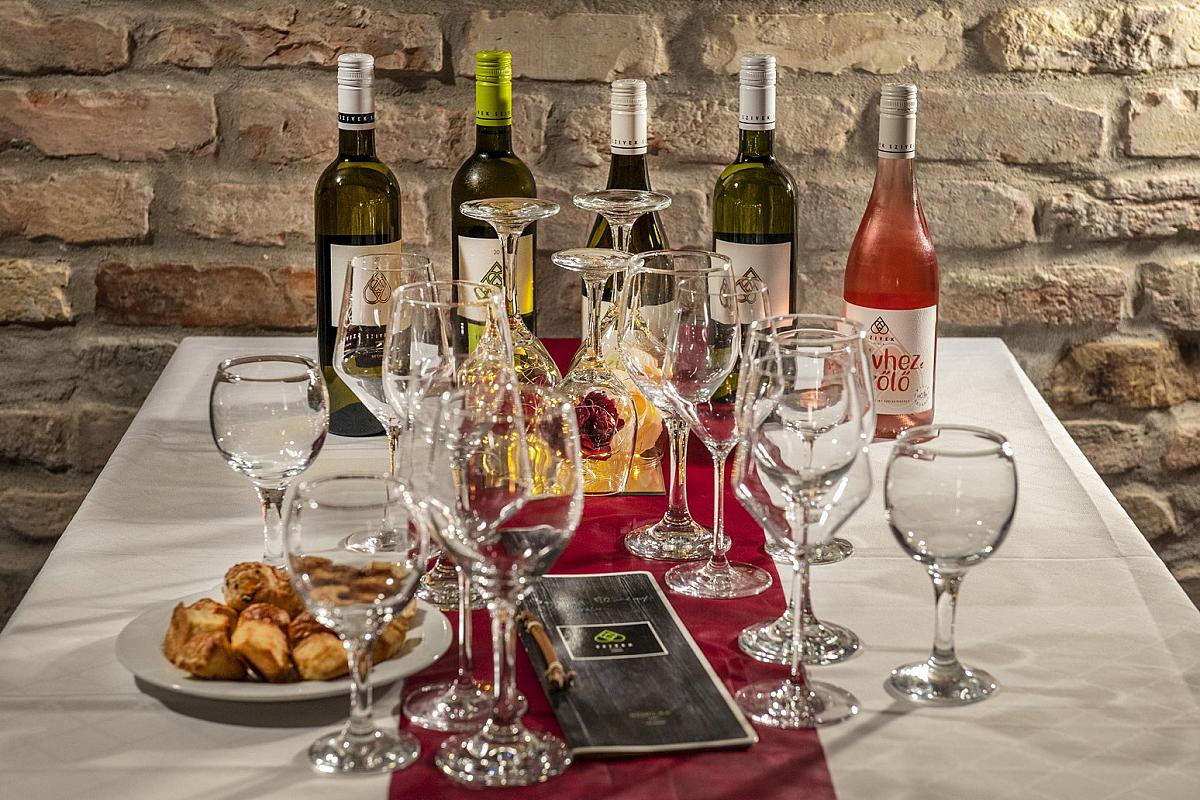 Patak Park Hotel Visegrád