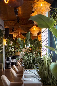 Selva Skybar