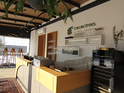 Chloro’Feel • art • meetup • green’collective