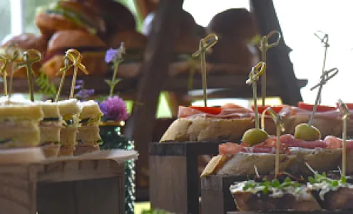 Chloro’Feel • art • meetup • green’collective
