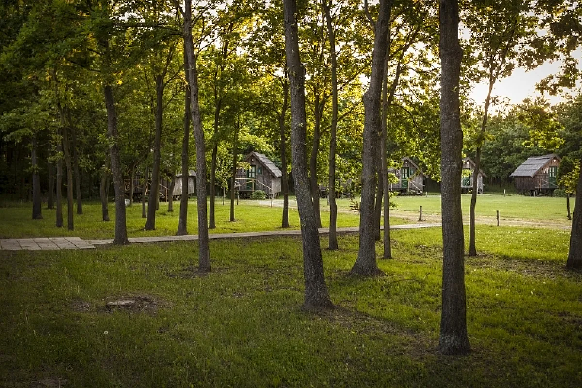 Achilles Park