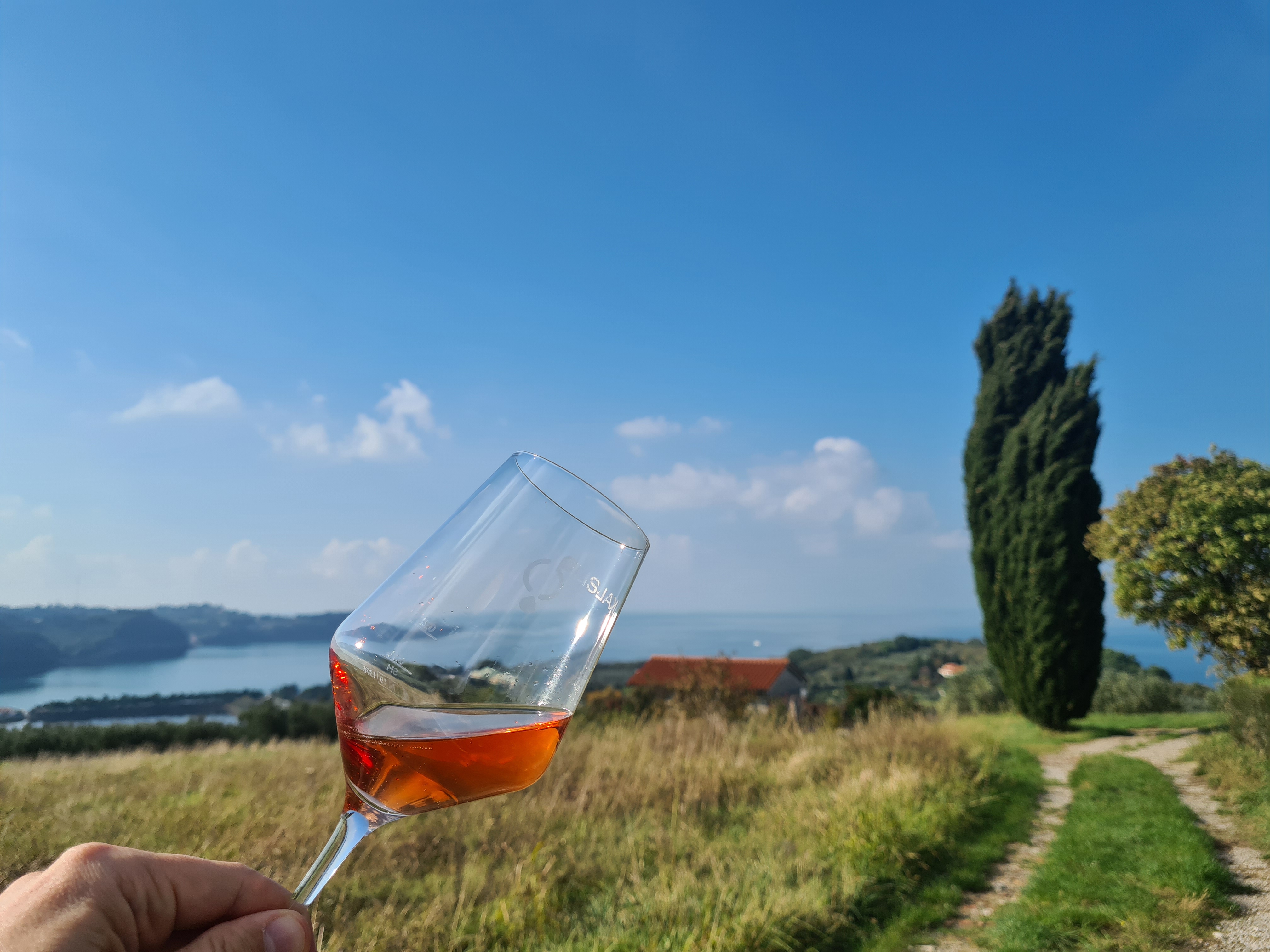 A víz útja- Nagy sikerrel zárult a SAVA hotels szlovéniai Study Tour