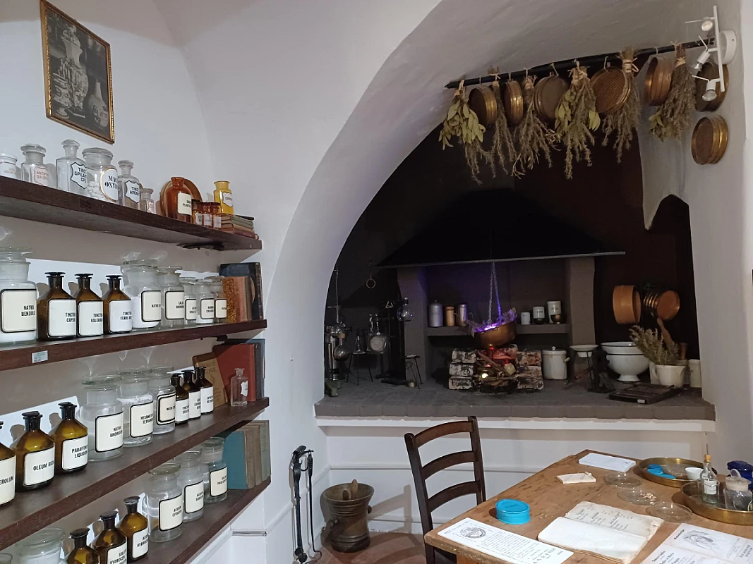 Ideje másképp gondolni Opatijára - Sikeresen zárult az első adventi VIP Study Tour