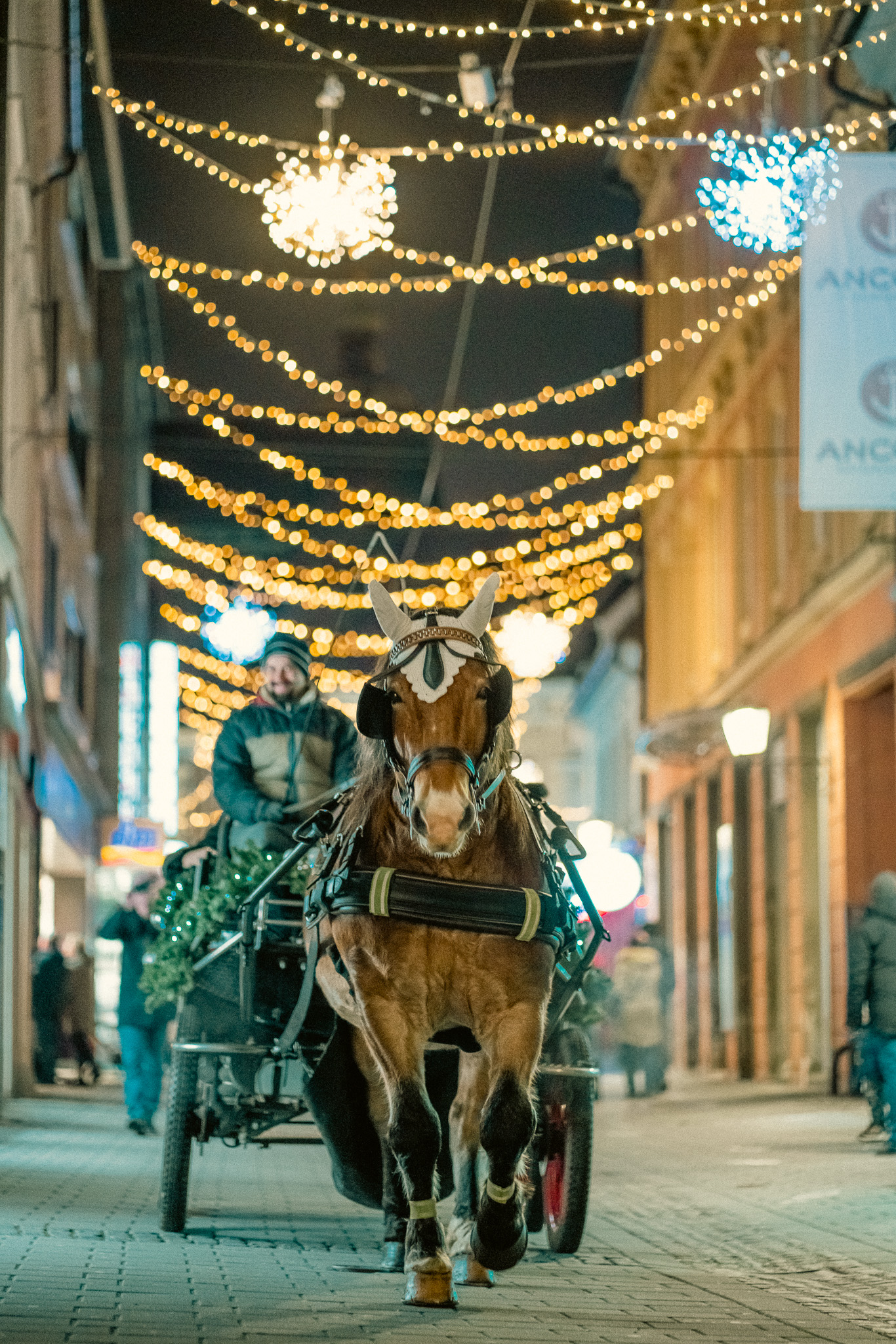 Advent Mariborban: 34 napnyi téli csodaország