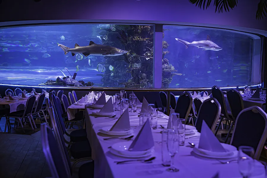 Tropicarium rendezvényhelyszín