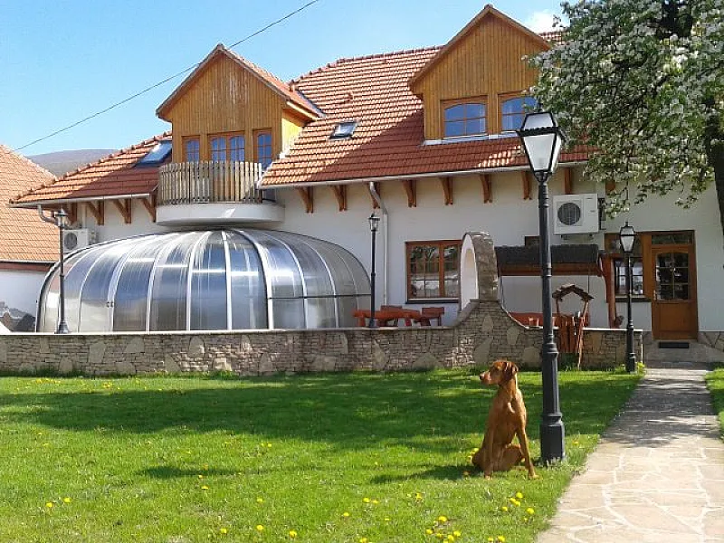 Fekete Kos Hotel