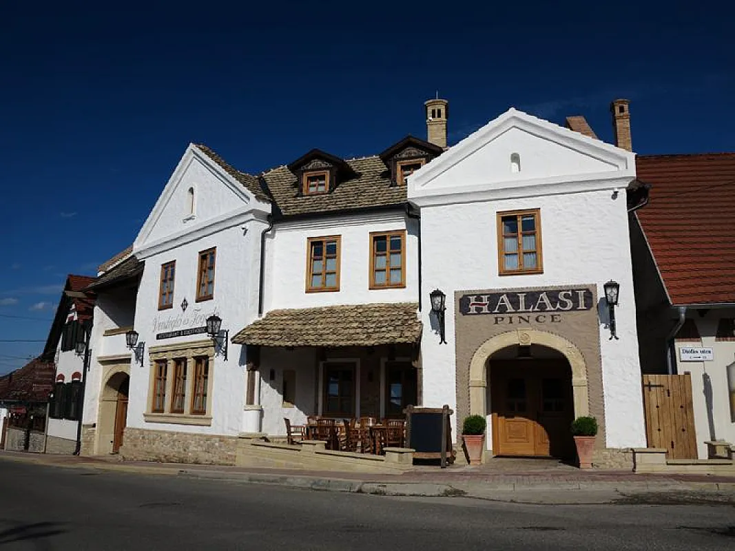 Halasi Pince Panzió Étterem