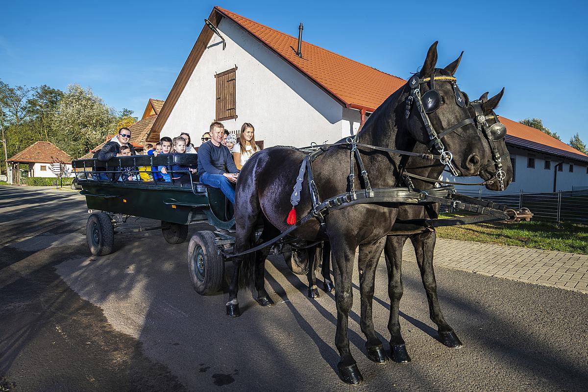 Erdőspuszta Club Hotel