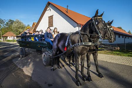Erdőspuszta Club Hotel