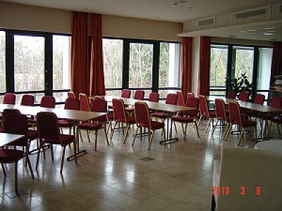 Howea terem