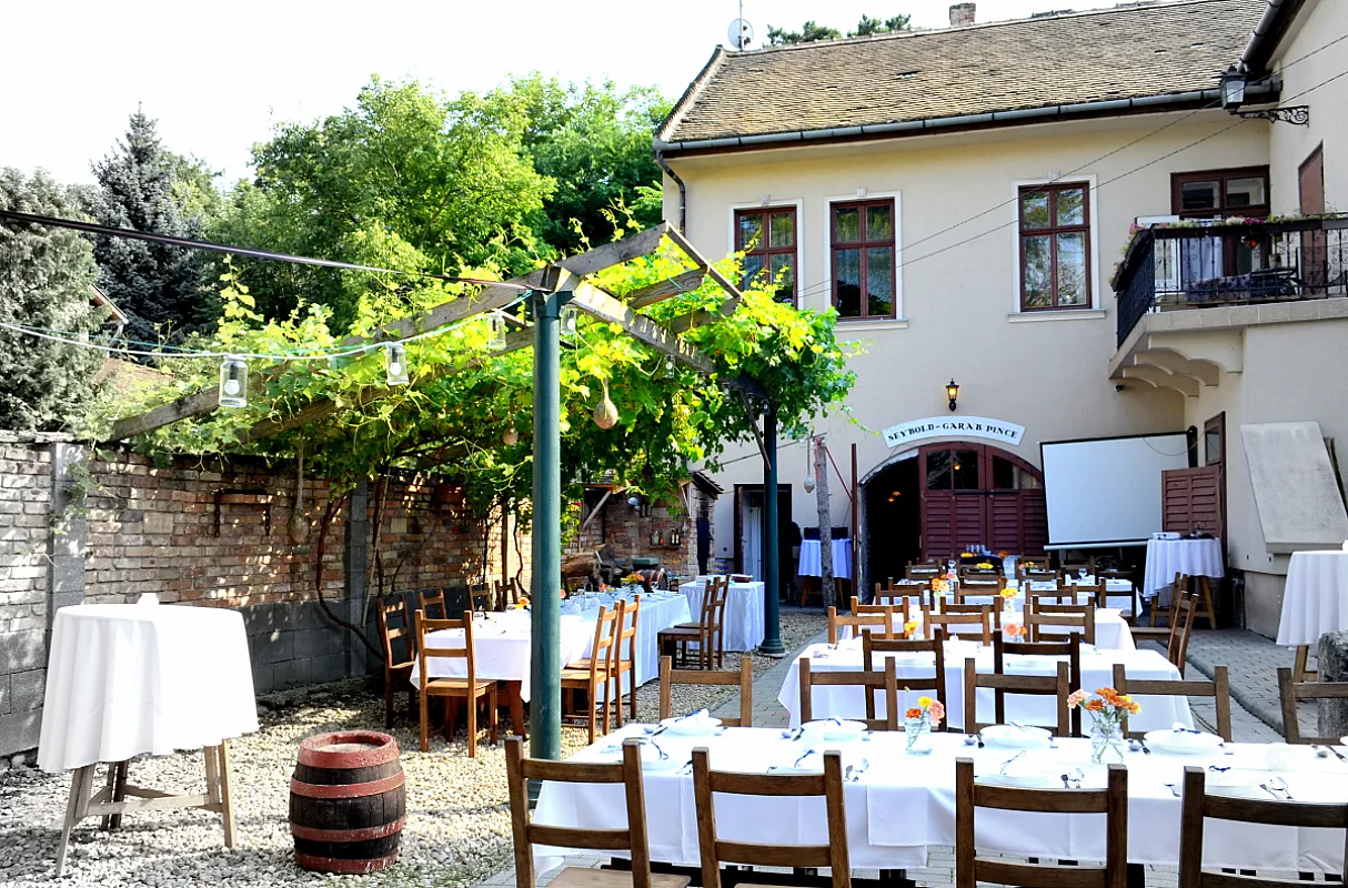 Seybold-Garab Pince