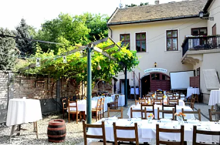 Seybold-Garab Pince