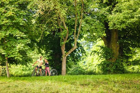 Gotthard Therme Hotel & Conference