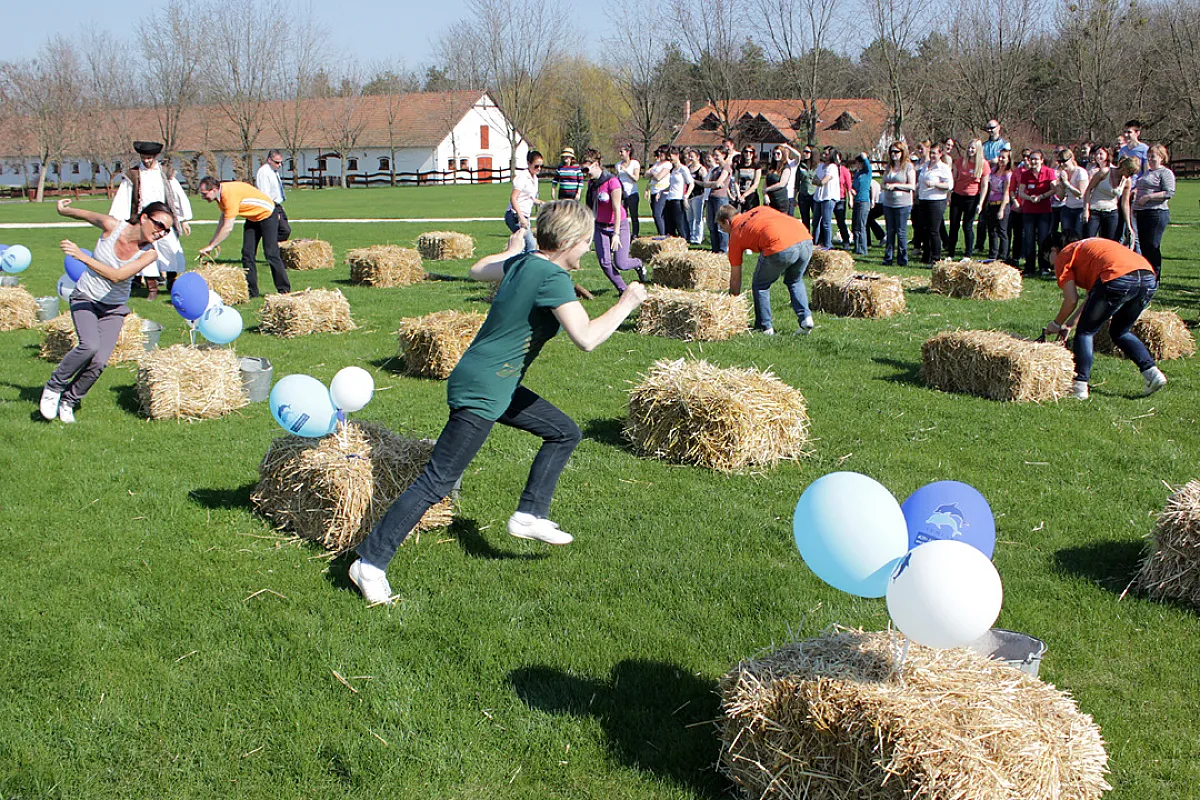 Lázár Lovaspark