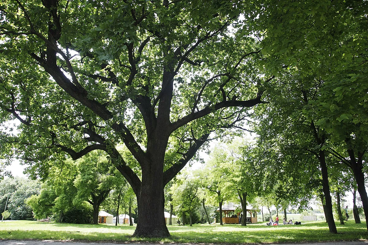 Kishantos Rendezvényhelyszín