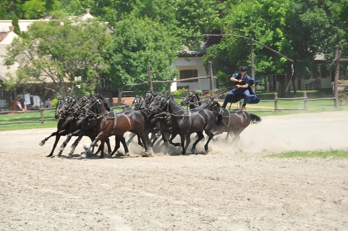 Varga Tanya Hotel, Konferencia és Szabadidőközpont