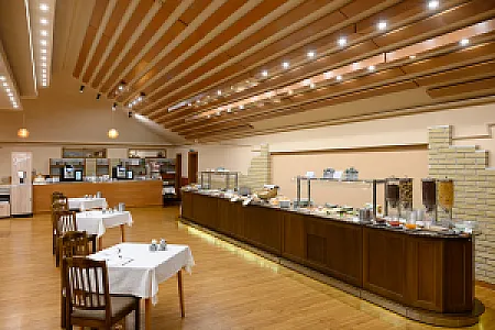 Aranyhomok Hotel Business & Relax