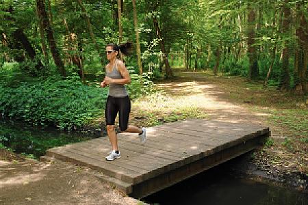 Hotel Európa Fit superior