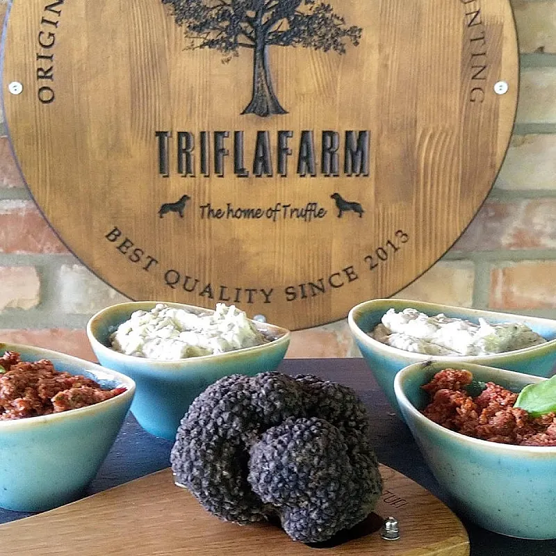 TriflaFarm, Szarvasgombakaland – vadászat és gasztrotúra