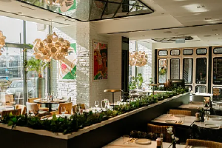Tapas Fino